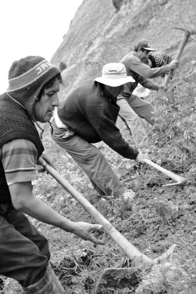 Fundo la cosecha del futuro