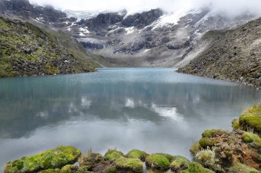 Pure lagoon at the feet of the snowy verdish 2 with a view of moss (distichia muscoides) in the foreground