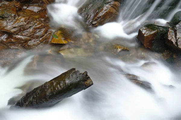 Krásná Přírodní Voda Padá Vnitrozemí Andského Lesa Potoce Zvaném Miraflores — Stock fotografie