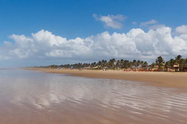 Prázdná pláž Aruana, Aracaju, státu Sergipe, Brazílie. — Stock fotografie