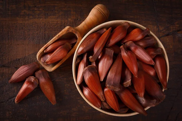 Pinhao - pino brasiliano — Foto Stock