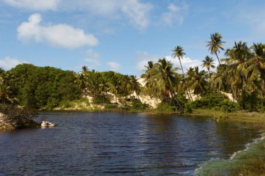 Jandaira, Brezilya Bahia Eyalet Mangue Seco
