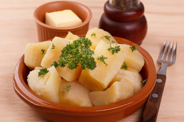 Manihot esculenta (Maniok, Yuca, Maniok, Mandioka, brasilianische Pfeilwurzel) — Stockfoto