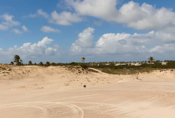 Mangue Seco i Jandaira, Bahia Brasilien staten — Stockfoto