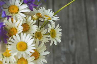 Bir buket beyaz papatya.