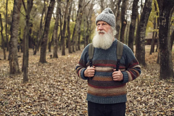 Old man with beard in forest — Stock Photo, Image