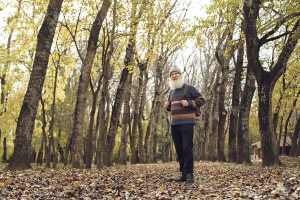Starý muž s bradkou v lese — Stock fotografie
