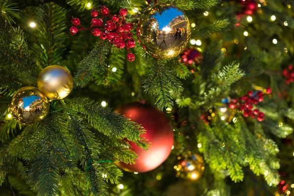 Рождественские украшения на ветвях ели Стоковое Изображение