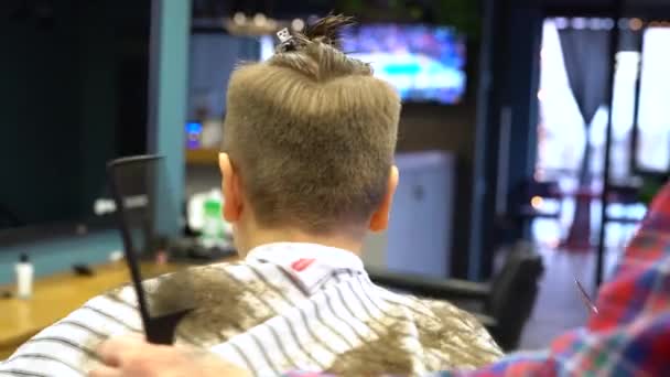 Hairdresser Cuts Hairs Scissors Boy Head Back View Stylist Hands — Stock Video