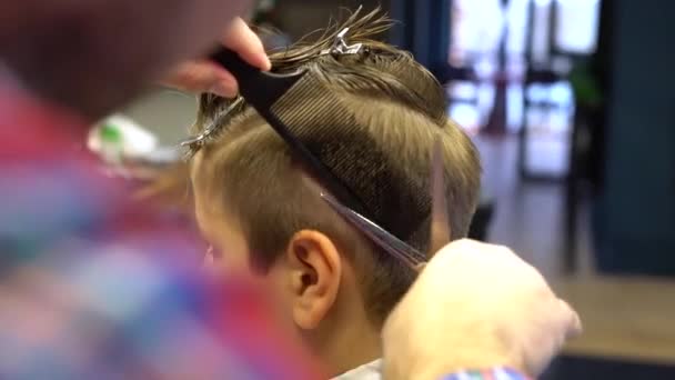 Coiffeur Coupe Les Cheveux Avec Des Ciseaux Sur Tête Garçon — Video