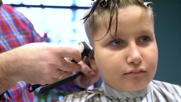 Hairdresser Cuts Hairs Scissors Boy Head Back View Stylist Hands — Stock Video
