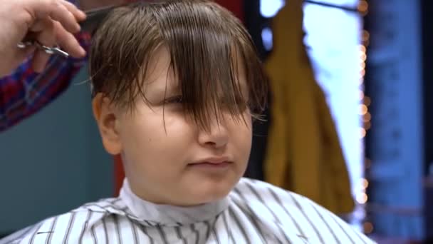 Hairdresser Cuts Hairs Scissors Boy Head Back View Stylist Hands — Stock Video