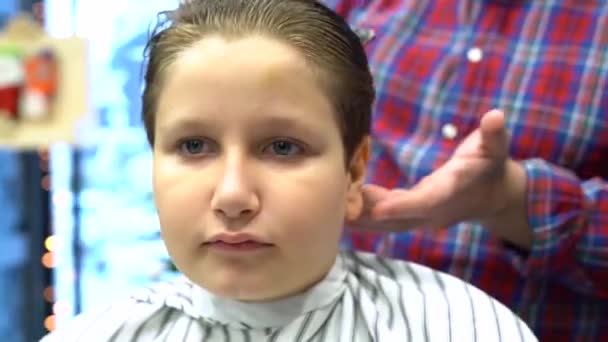 Hairdresser Cuts Hairs Scissors Boy Head Back View Stylist Hands — Stock Video