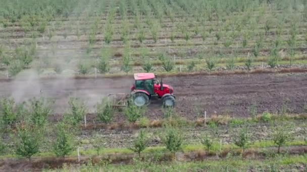 Ovanifrån Två Traktorer Som Kör Genom Äppelodlingens Gångar Träd — Stockvideo