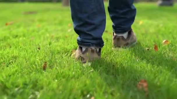 Hombre Camina Por Sendero Parque Verde Cierre Piernas Zapatos Deportivos — Vídeos de Stock