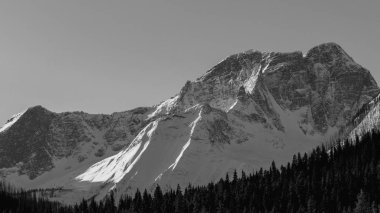 Kanada Rocky Dağları 'nda karlı zirveler