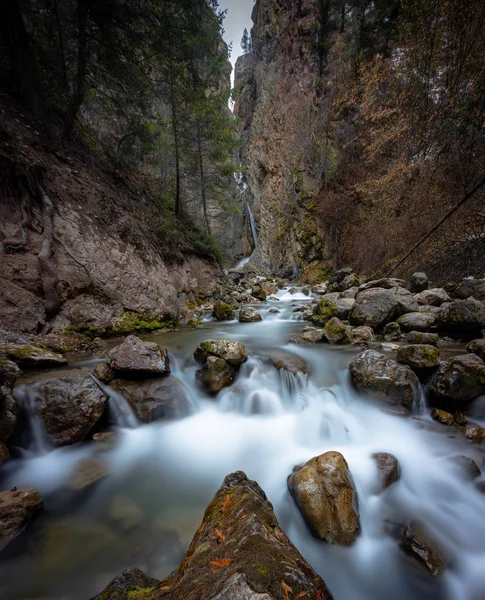 Long Exposure River Forest — Stock Photo, Image