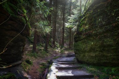 Tepede küçük bir merdiven var.