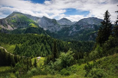 Berchtesgadener Diyarı 'ndaki Jenner Dağı' na giden yol.