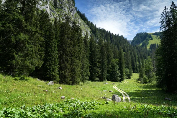 Trilha Para Monte Jenner Terra Berchtesgadener — Fotografia de Stock