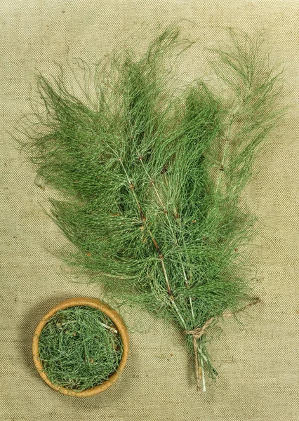 Equisetum, horsetail. Dried herbs. Herbal medicine, phytotherapy — Stock Image Equisetum, horsetail. Dried herbs. Herbal medicine, phytotherapy Stock Image