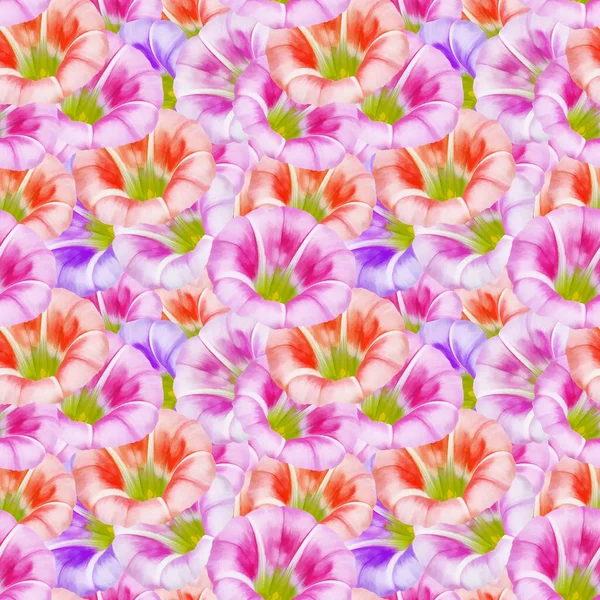 larger bindweed. Seamless pattern texture of flowers. Floral bac