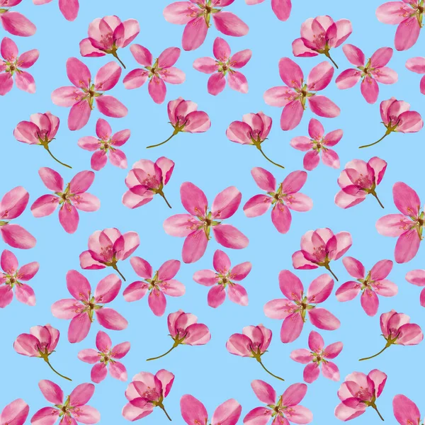 Apple Flowers Seamless Pattern Texture Of Flowers Floral Backg Stock Images Page Everypixel