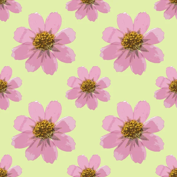 Cosmos. Seamless pattern texture of flowers. Floral background,