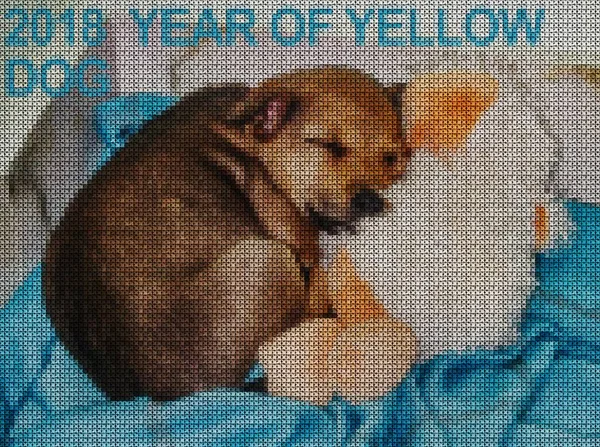 Illustrations. Cross-stitch. Yellow dog.