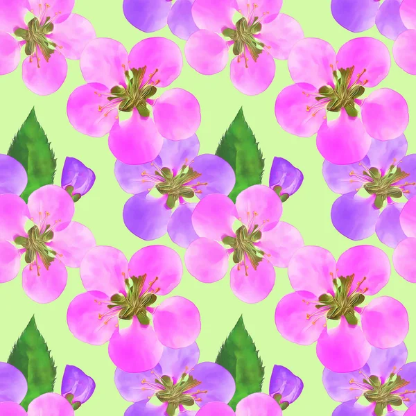 Quince, apple quince. Seamless pattern texture of flowers. Flora