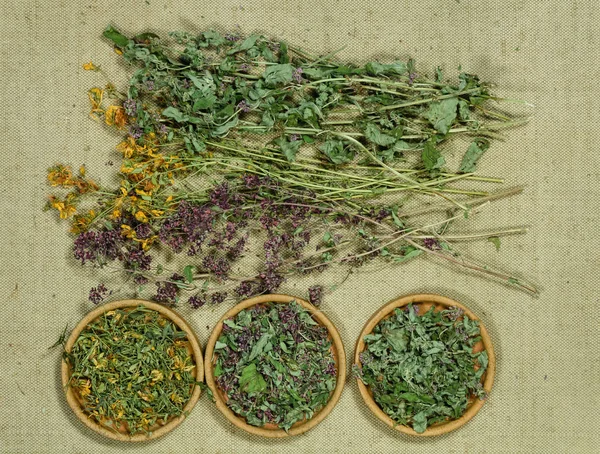 Set of healing herbs
