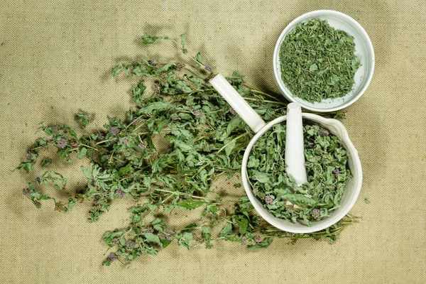 Mint, spearmint. Dry herbs. Herbal medicine, phytotherapy medici