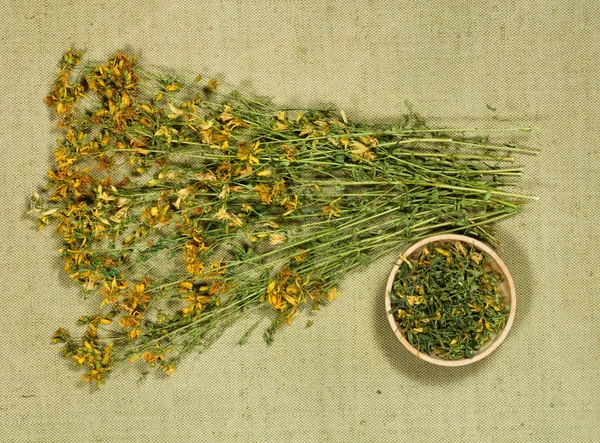 Tutsan. Dry herbs. Herbal medicine, phytotherapy medicinal herbs