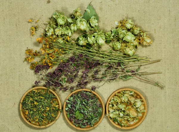 Set of healing herbs.
