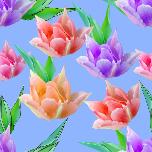 Tulip. Seamless pattern texture of flowers. Floral background, p