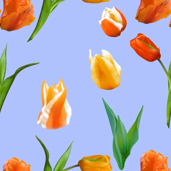 Tulip. Seamless pattern texture of flowers. Floral background, p