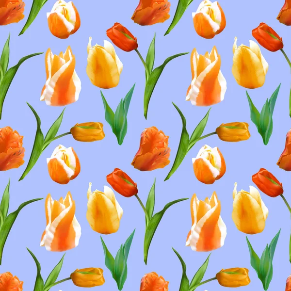 Tulip. Seamless pattern texture of flowers. Floral background, p