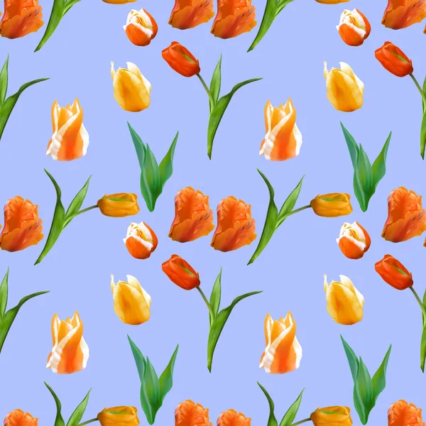 Tulip. Seamless pattern texture of flowers. Floral background, p