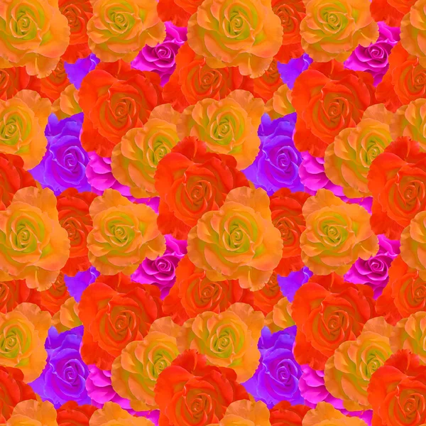 Rose, rose flower. Texture of flowers. Seamless pattern for continuous replicate. Floral background, photo collage for production of textile, cotton fabric. For use in wallpaper, covers