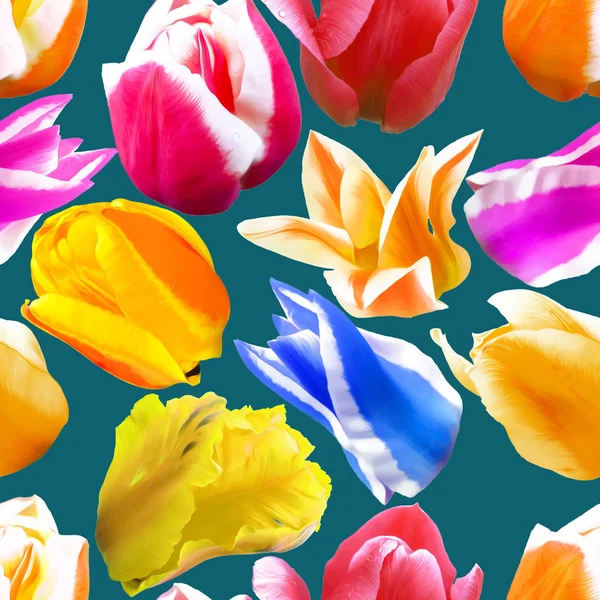 Tulip. Texture of flowers. Seamless pattern for continuous replicate. Floral background, photo collage for production of textile, cotton fabric. For use in wallpaper, covers