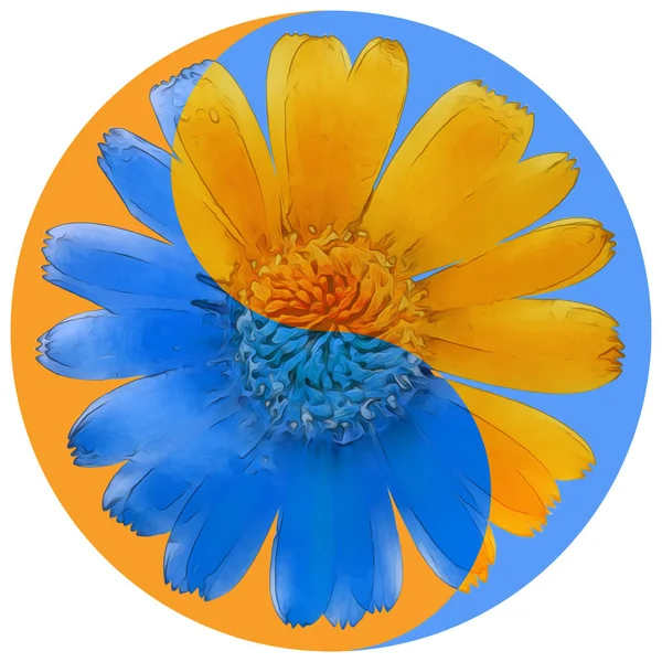 Floral symbol Yin-Yang. Calendula. Geometric pattern of Yin-Yang