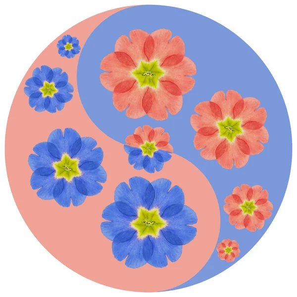 Floral symbol Yin-Yang. Primula. Geometric pattern of Yin-Yang symbol, from plants on colored background in Oriental style. Yin Yang symbol from flowers, petals. Flower illustration of mandala.