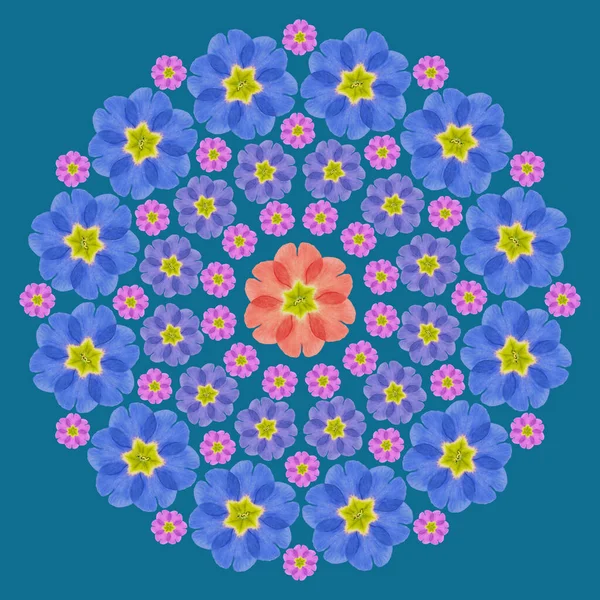 Mandala from dried pressed flowers, petals. Primula, primrose. Mandala is symbol of Buddhism, Hinduism, yoga. Ornament mandala with pattern floral elements in oriental style for relax and meditation.