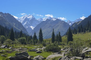Tian Shan dağlarındaki dağ vadisi Karakol, Kırgızistan, Orta Asya. Vadideki güneşli çayır Jety-Oğuz, Altyn Arashan Dağı