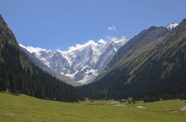 Tian Shan dağlarındaki dağ vadisi Karakol, Kırgızistan, Orta Asya. Vadideki güneşli çayır Jety-Oğuz, Altyn Arashan Dağı