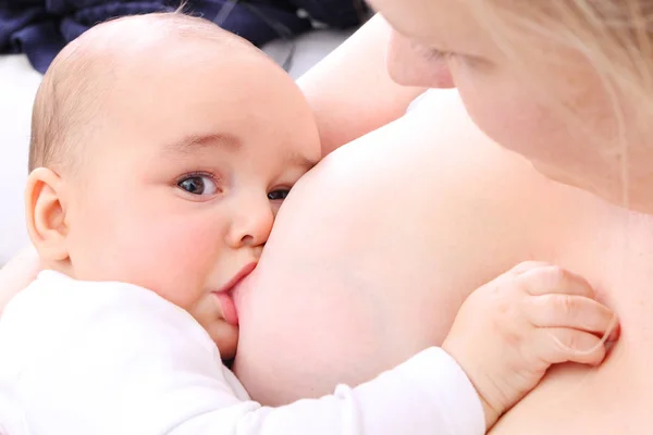 Baby gutt drikker fra bryst – stockfoto