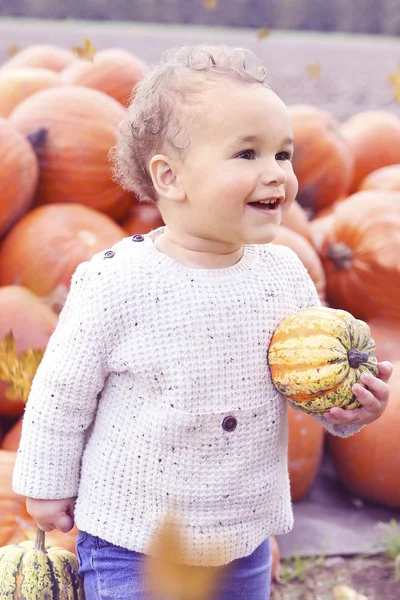 Çocuk malzeme çekme kabak - sonbahar