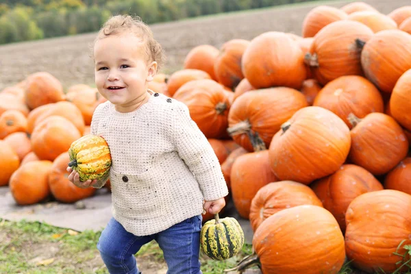 Çocuk malzeme çekme kabak - sonbahar