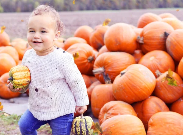Kabak alandaki küçük çocuk