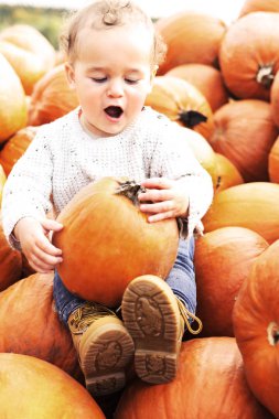 Küçük çocuk kabak alanında kabak toplama